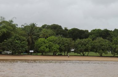 IMG_4305