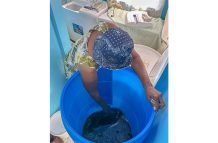 Evelyn Estwick making mauby for August 1 (Japheth Savory photo)