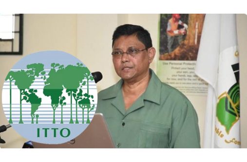 ITTO hailed James Singh as a ‘forest chamption’