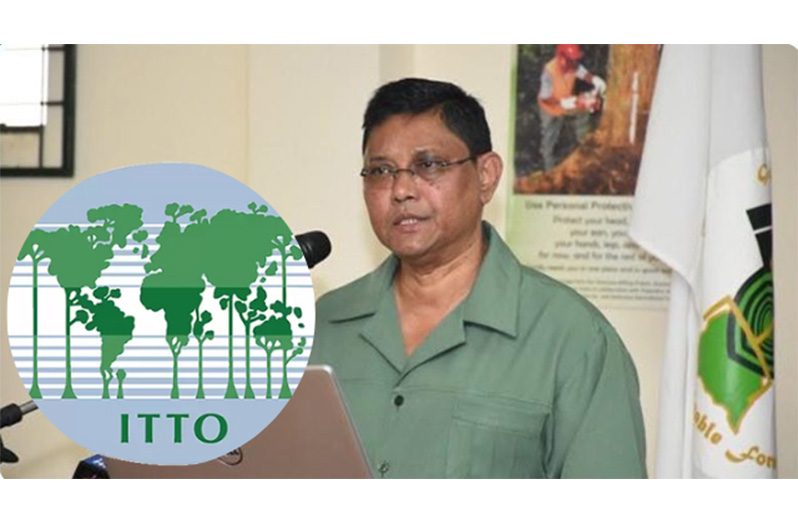 ITTO hailed James Singh as a ‘forest chamption’