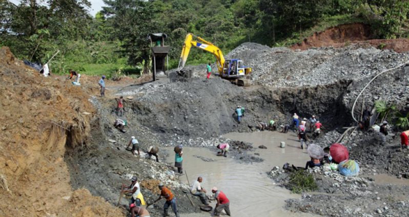 Illegal mining doing far more deforestation than envisaged - Guyana ...