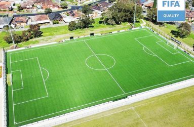 An impression of what the pitches will look like