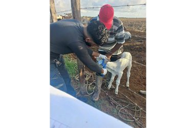 Sunil Balkaran on a typical day in the field supporting farmers