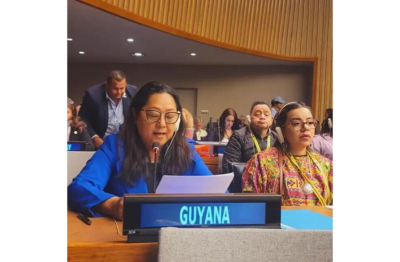 Minister of Amerindian Affairs, Pauline Sukhai at the 22nd Session of the Permanent Forum on Indigenous Issues, UN Headquarters, New York