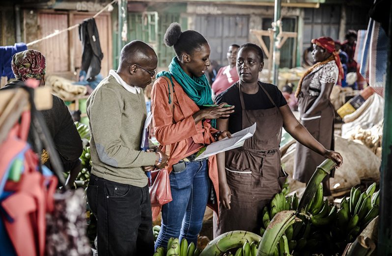 Through RuralInvest, the field technician understands what the farmer's vision is, learns how and which data need to be collected and inputs it into the software, which automatically systematizes the information and brings to life clear and visually effective business plans