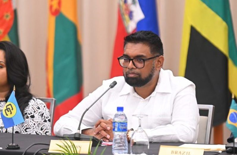 President, Dr Mohamed Irfaan Ali