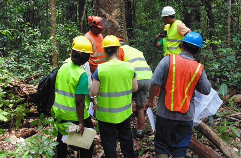 Scenes from a surveillance visit conducted by Soil Association Certification Limited of the United Kingdom (UK) in September 2019