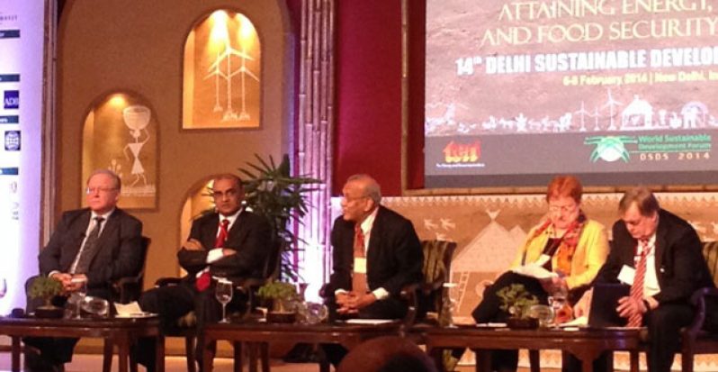 ‘HIGH-LEVEL PANEL’: Mr. Goran Persson, former Prime Minister of Sweden; Former President Dr Bharrat Jagdeo; Mr. Nitin Desai, Distinguished Fellow from TERI; Ms Tarja Halonen, former President of Finland; and Lord John Prescott, former British Deputy Prime Minister.