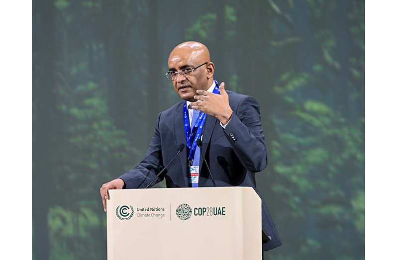 Vice-President, Dr. Bharrat Jagdeo