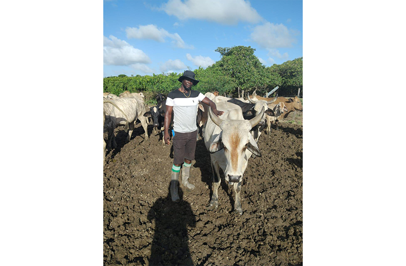 Cattle farmer Sean James and some of his cows