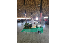 Entrepreneur, Jennifer Jeffrey