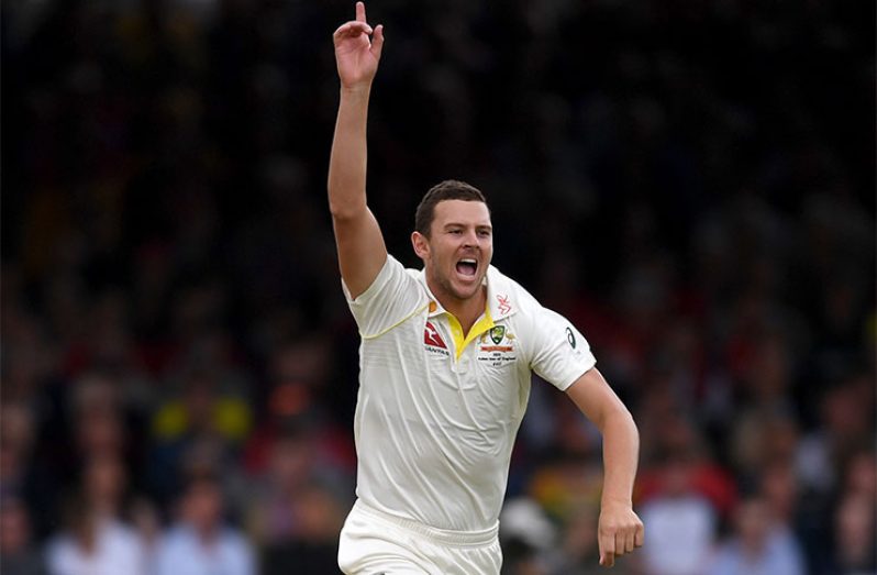 Josh Hazlewood celebrates his first Test wicket in seven months. (Getty)