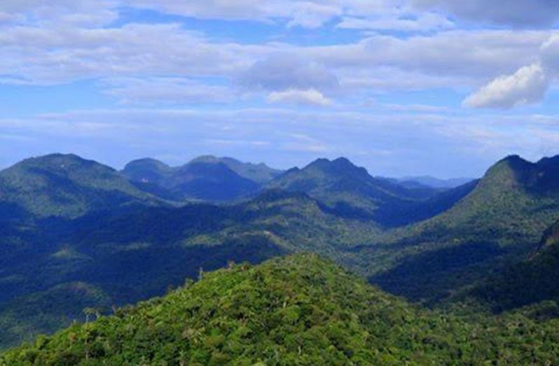 The PAC office in Lethem, Region Nine is expected to improve monitoring and management of several stunning Protected Areas in that region, including the breathtaking Kanuku Mountains (Visit Guyana photo)