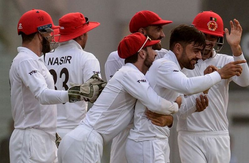 Afghan star Rashid Khan is elated after picking up a wicket. (AFP)