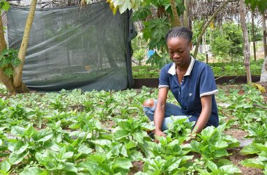 Jovita King moulding a section of the family farm