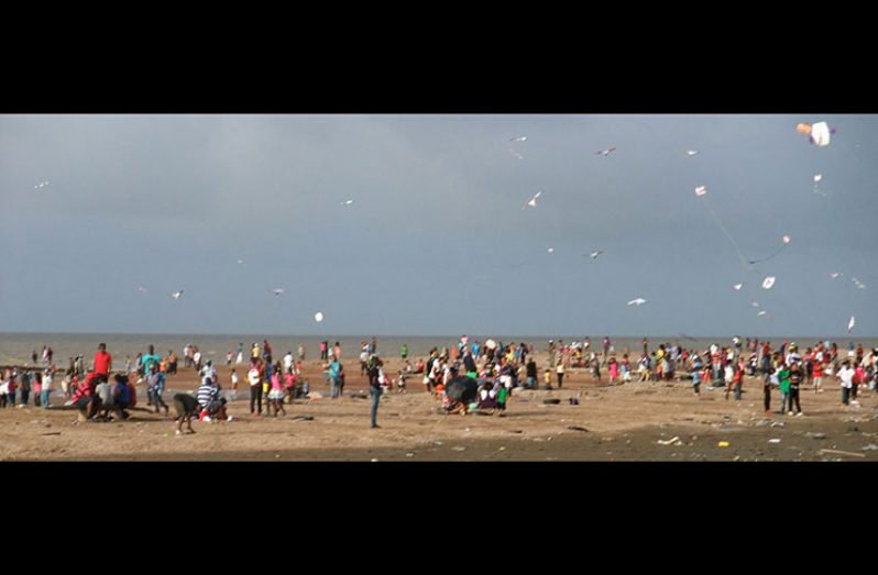 Kite-flying at the Number 63 Beach (file photo)