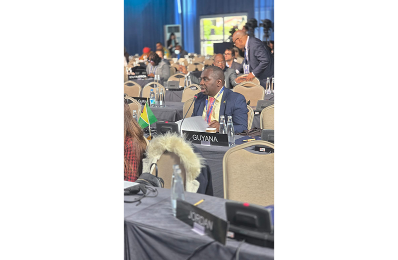Minister within the Office of the Prime Minister Kwame McCoy
