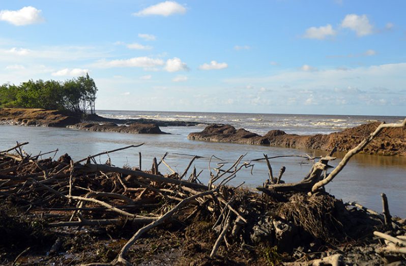 The 125 meters breached sea dam at Danzigt (Adrian Narine photo)