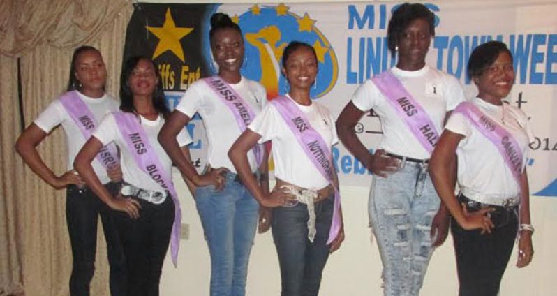 Seven of the eight Linden Town Week Pageant Delegates.