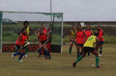 Hikers Marisha Fernandes tries to find a way through a wall of Spartans defenders