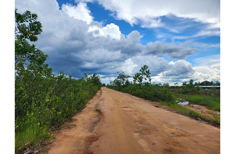 A section of Laluni’s main access road (Samuel Maughn and Japheth Savoury photos)