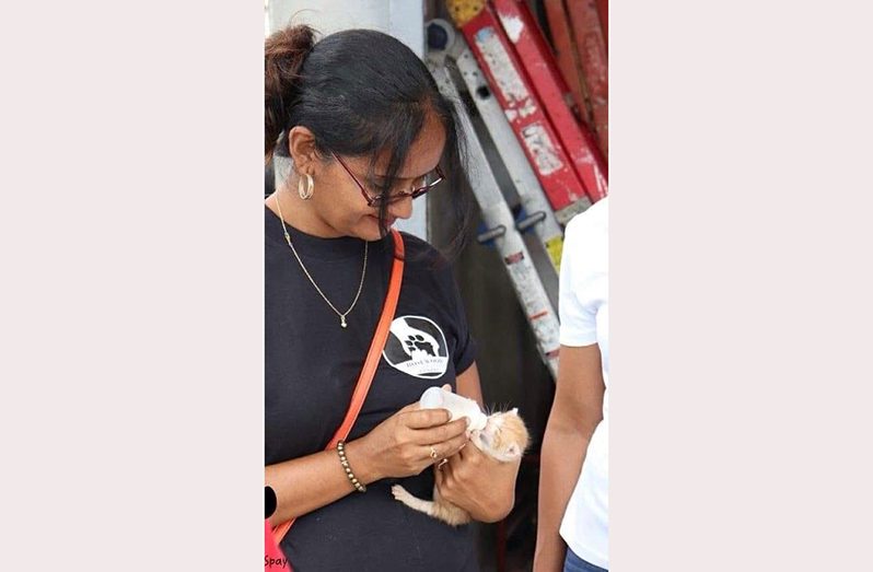 Founder of the Rose Wood Foundation and animal activist, Donna Lam