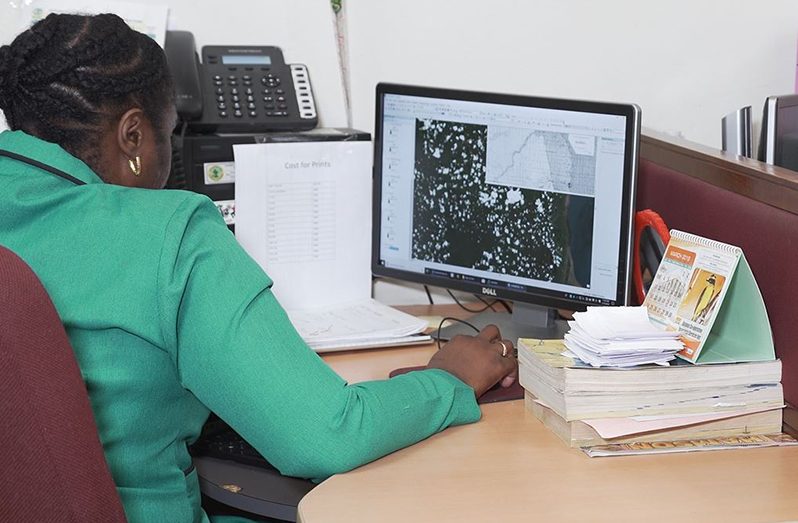 GLSC's Land Information and Mapping Division is responsible for creating and updating maps