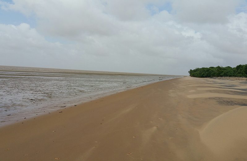 Leguan-beach
