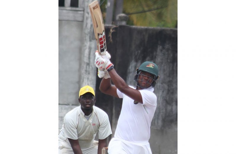 Leon Johnson hits out during his unbeaten 108.
