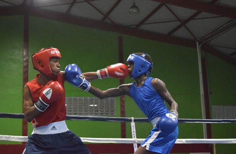 Guyana’s Leon Moore Jr. connects to the jaw of Trinidad and Tobago’s Tyrique Hosein during their 44Kg contest at the National Gymnasium on Saturday evening (Cullen Best-Nelson photo).