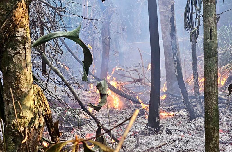 The bush fire in Lethem that is being monitored by fire officials (GFS photo)