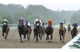 Fixtures at Lingfield Park (pictured), Carlisle, Uttoxeter and Kempton Park have been rearranged
