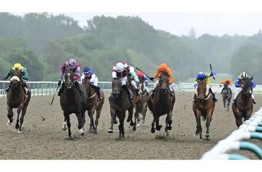 Fixtures at Lingfield Park (pictured), Carlisle, Uttoxeter and Kempton Park have been rearranged