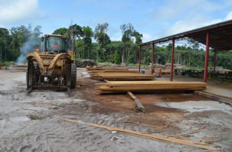 The Iwokrama Sawmill is one entity that is adding value in the forestry sector