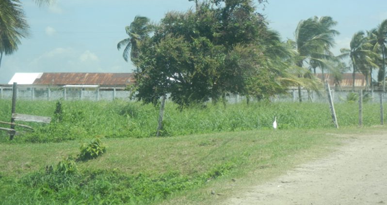 The Lusignan Prison