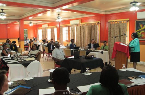 Public Health Minister Volda Lawrence addressing the gathering at the event