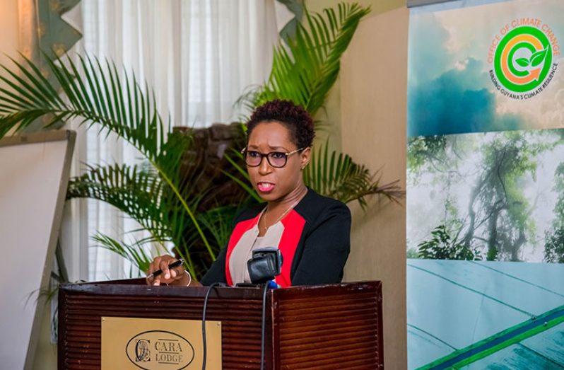 Head of the Office of Climate Change, Mrs Janelle Christian.
