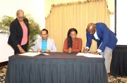 As part of the agreement, GCCI and THAG will conduct monthly meetings to monitor and execute their workplan