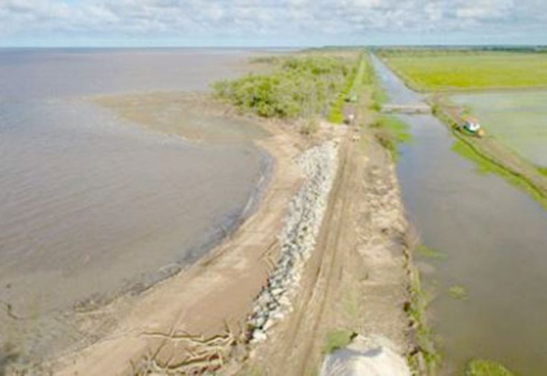 Section of the reinforced earthen embankment in Mahaicony (DPI photo)