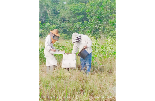 Malika and her husband Gansham all suited up in the proper gear are out in the fields tending to their hives