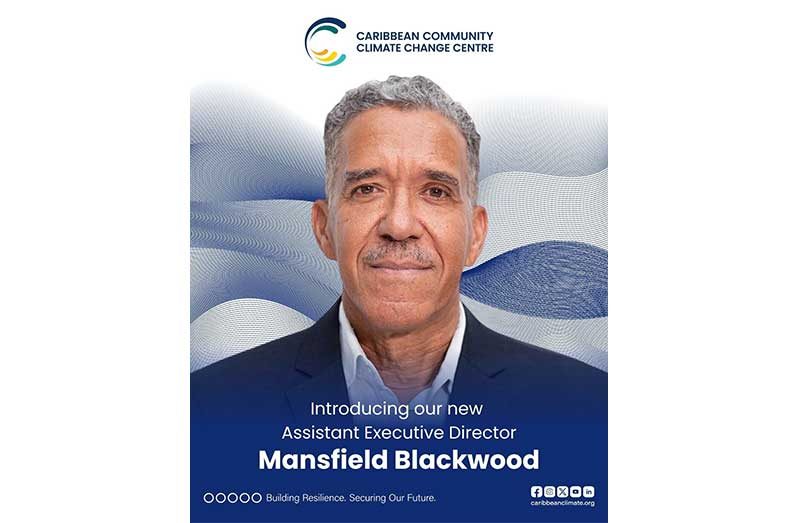 Mansfield Blackwood
