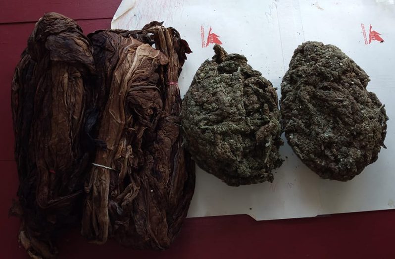 The marijuana and tobacco leaves that were found by police
