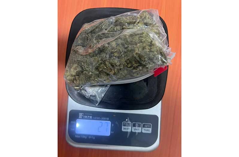 The marijuana that was allegedly near the home