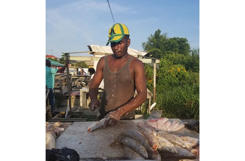 Mark Gentle Hard at work Filleting a parcel of Fish for his customer