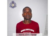 Mark Gentle