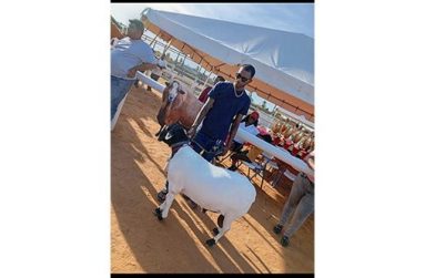 Small ruminant farmer, Marlon Fraser, poses with his winning sheep