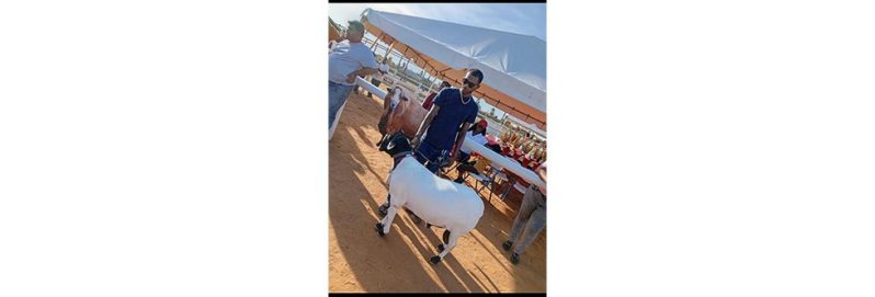 Marlon Small ruminant farmer, Marlon Fraser, poses with his winning sheep