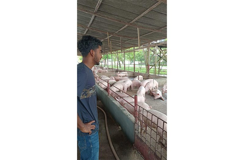 Manager of the farm, Matthew Low-A-Chee