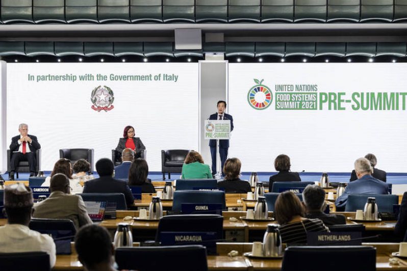 FAO Director-General speaks at event - "From the G20 Matera Declaration to the Food Systems Summit: A Framework for Emerging Coalitions of Action" (FAO photo)