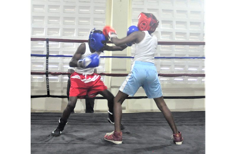 Keyon Britten (left) engaged in the best fight of the card during his win over Curtis McDonald at the ‘Six Head’ Gym yesterday (Sean Devers photo)